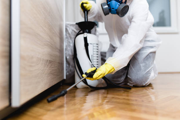 Best Affordable Pest Control Services  in Jefferson, OH