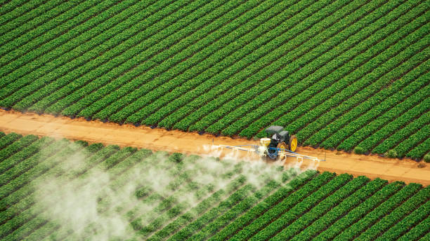 Best Termite Control Services  in Jefferson, OH