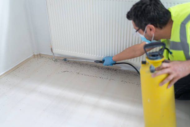 Flea Control Services in Jefferson, OH